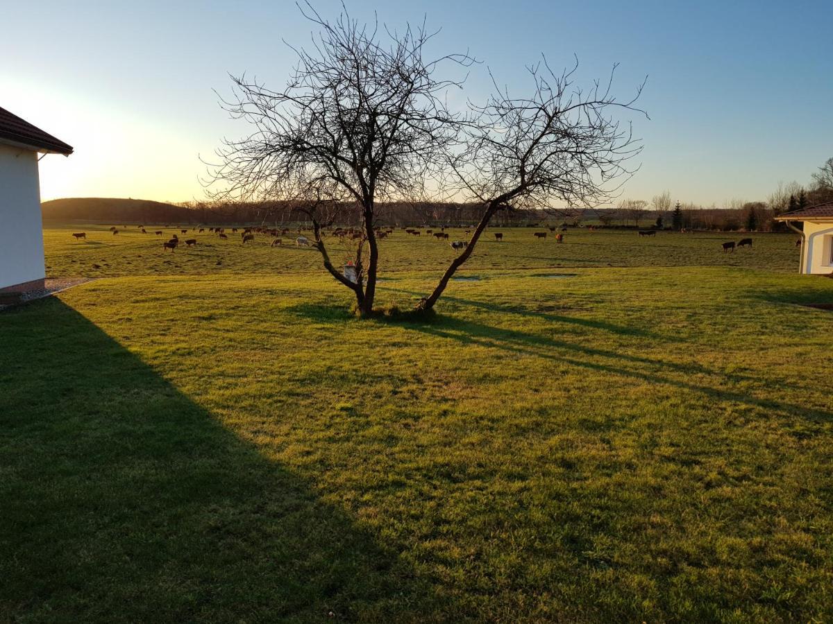 Landhotel Pathes Hof Volkenshagen Exteriör bild